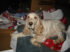 189614_503483747804_1969_n