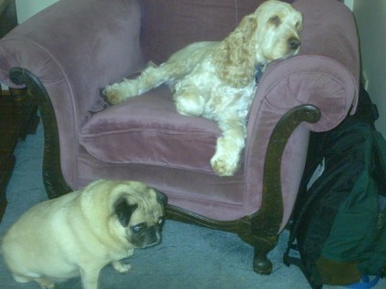 200716_503483822654_7526_n